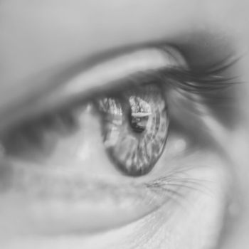 eye